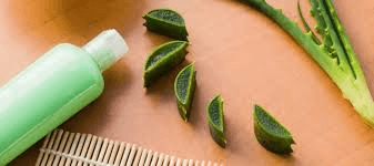 produtos de cabelo veganos 